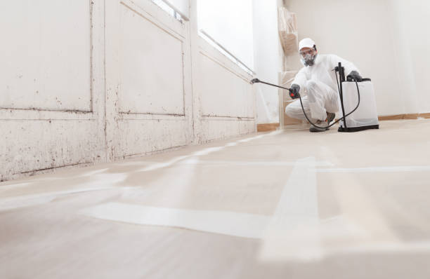 24/7 Emergency Black Mold Remediation experts in Northbrook, IL